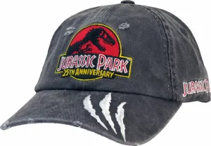 Jurassic Park Vintage Grey Destroyed Cap