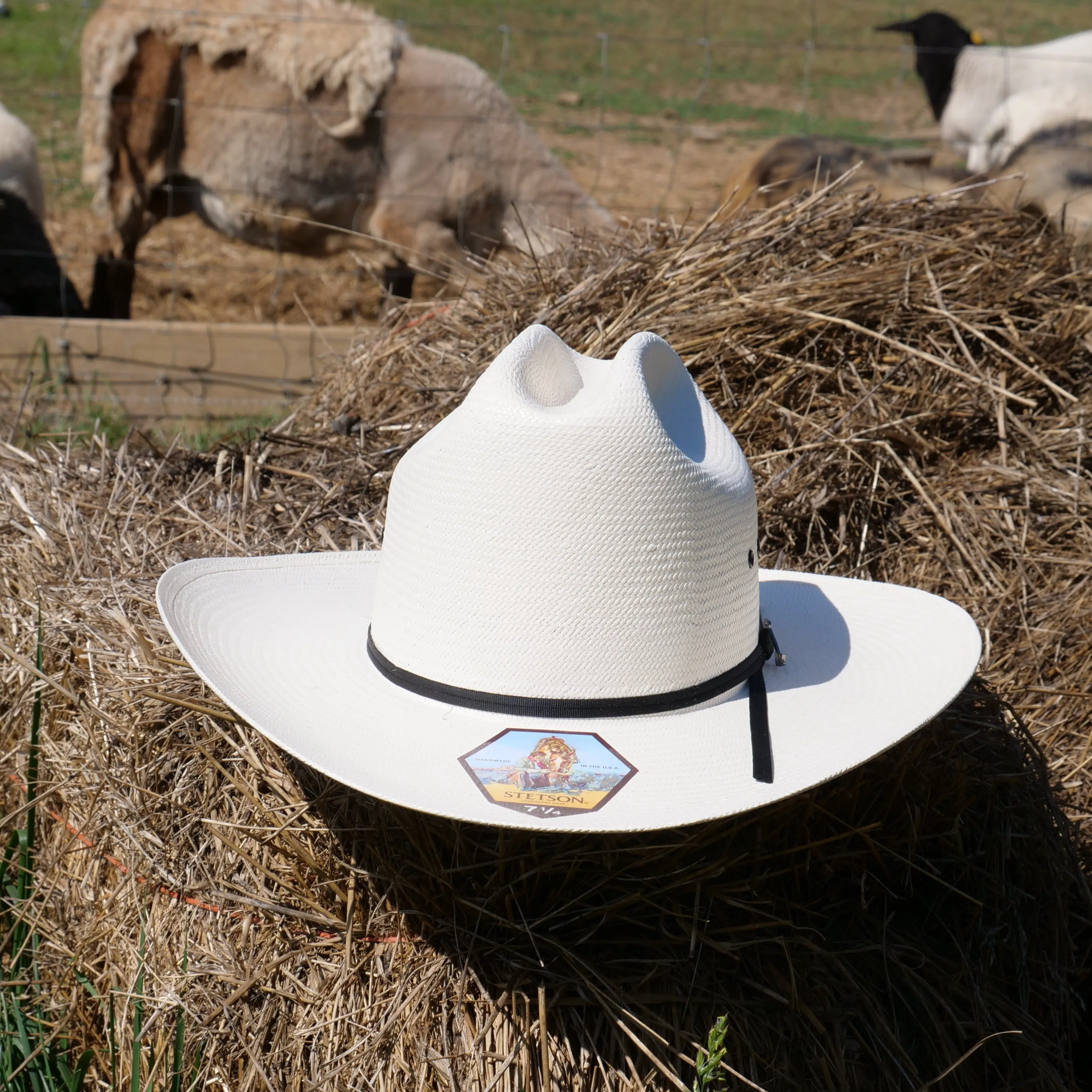 Stetson Rancher 10x Straw Hat with Ribbon