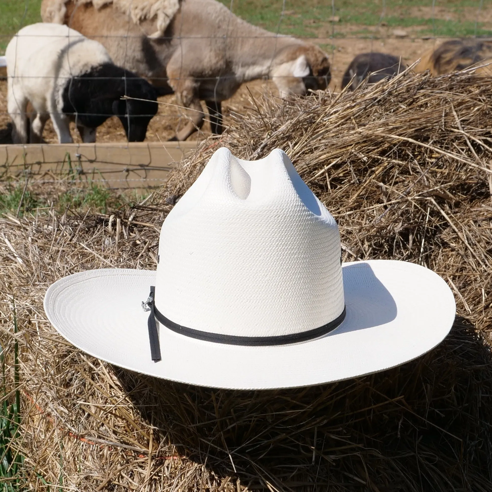Stetson Rancher 10x Straw Hat with Ribbon