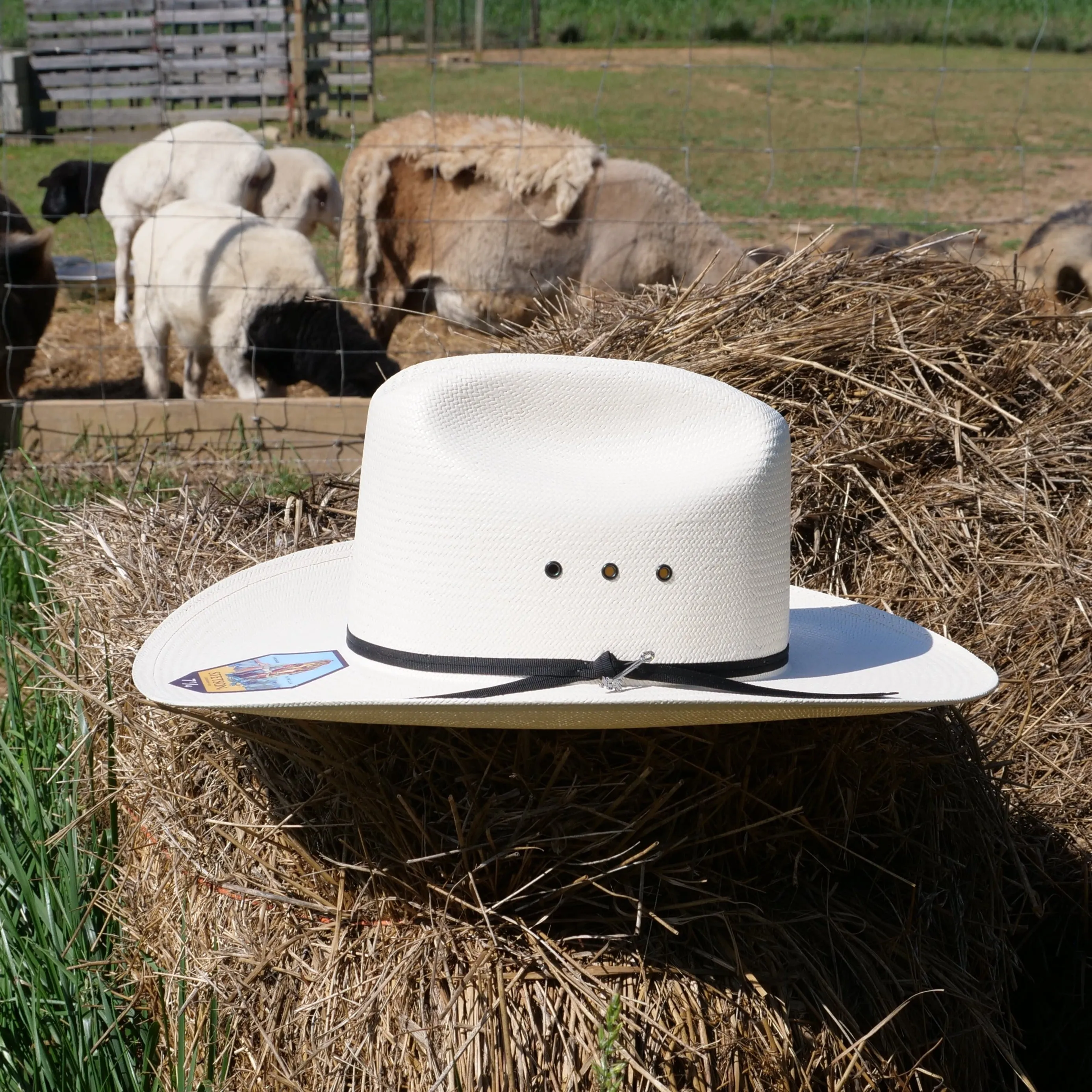 Stetson Rancher 10x Straw Hat with Ribbon