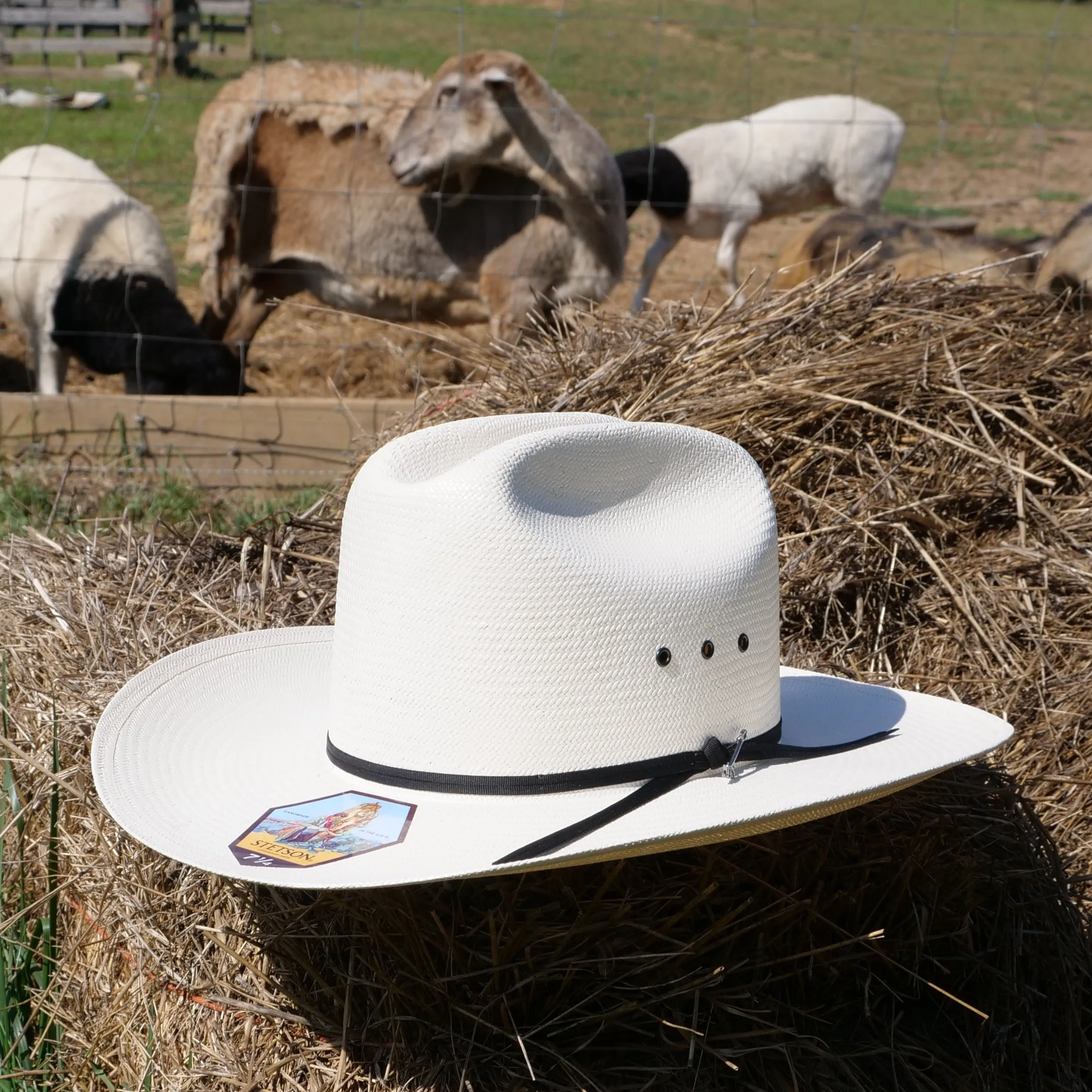Stetson Rancher 10x Straw Hat with Ribbon